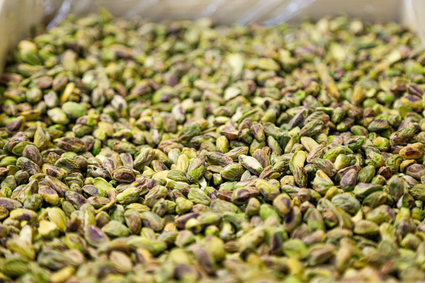Shelled green pistachio kernels